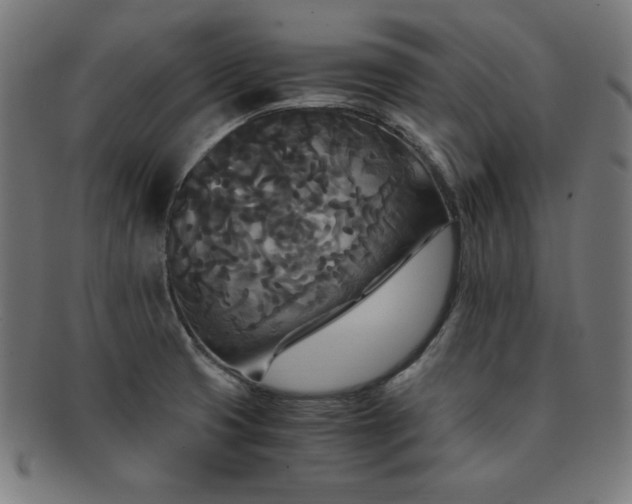 X0000091881425200709051315