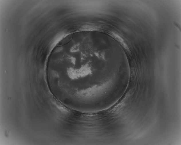 X0000091881427200709051315