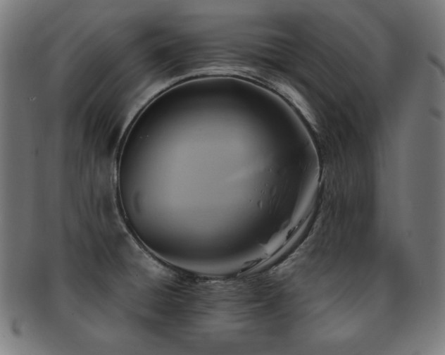 X0000091881428200709051315