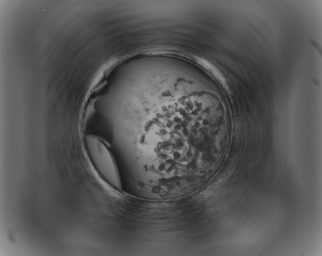 X0000091881429200709051315