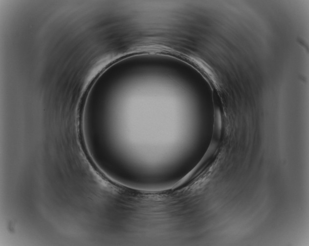 X0000091881430200709051315
