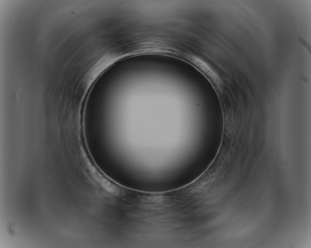 X0000091881431200709051315
