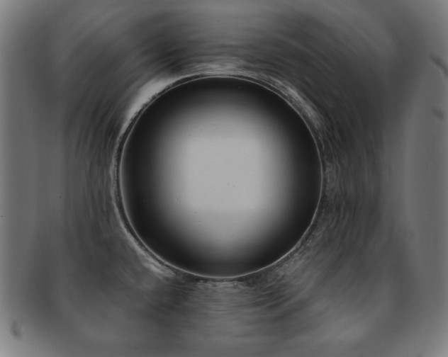 X0000091881432200709051315