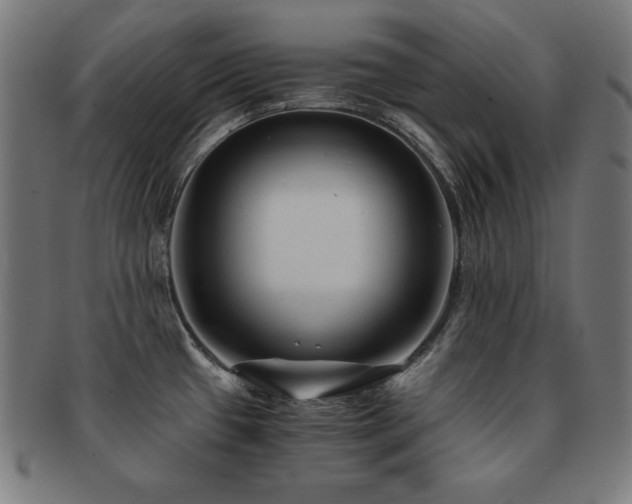 X0000091881433200709051315
