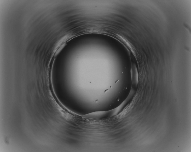 X0000091881434200709051315