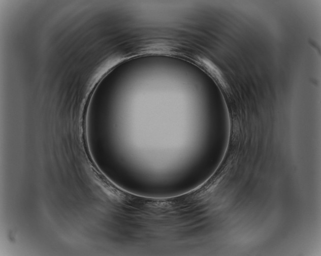 X0000091881435200709051315