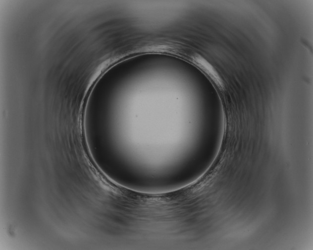 X0000091881436200709051315