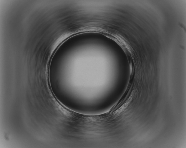 X0000091881438200709051315
