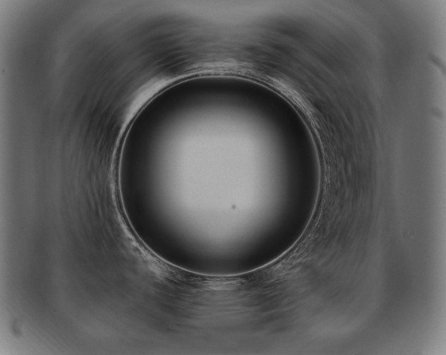 X0000091881440200709051315