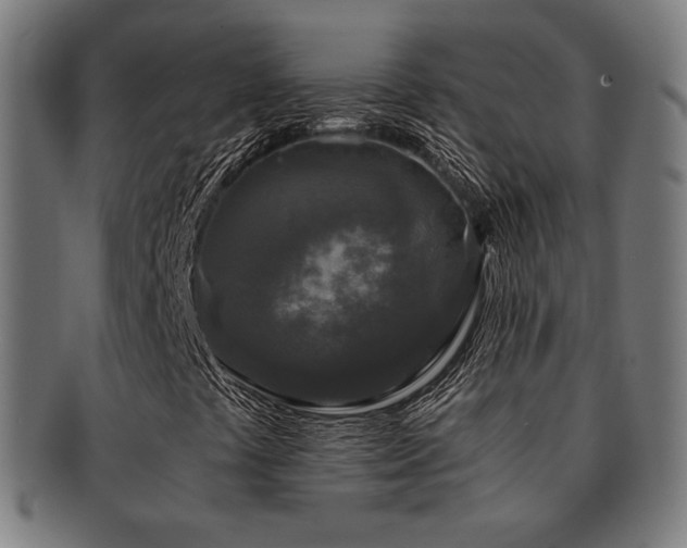 X0000091881441200709051315