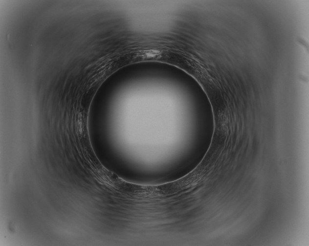 X0000091881442200709051315