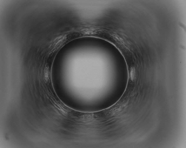 X0000091881444200709051315