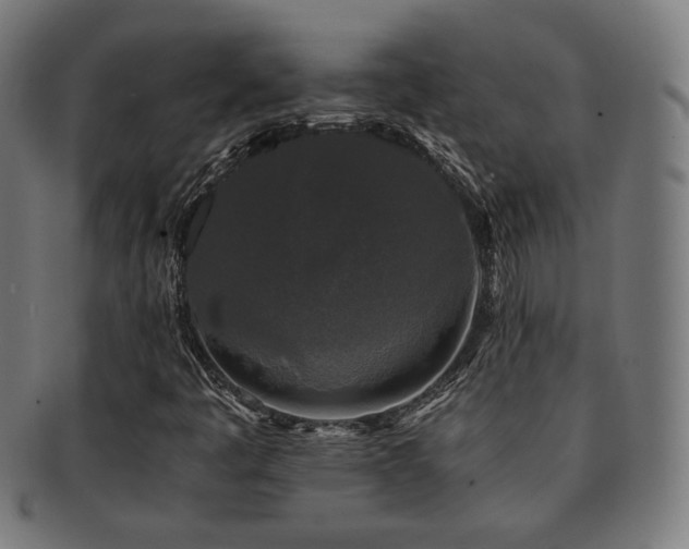 X0000091881445200709051314