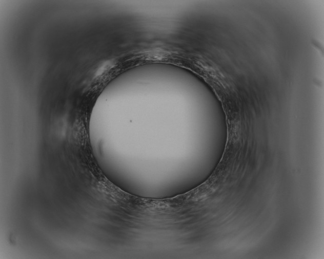 X0000091881446200709051314