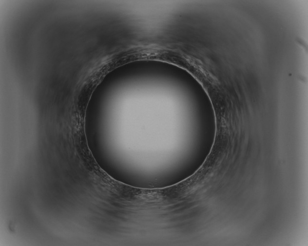 X0000091881447200709051314