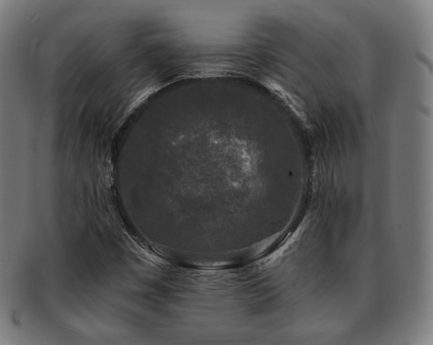 X0000091881449200709051314