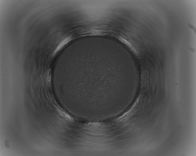 X0000091881450200709051314