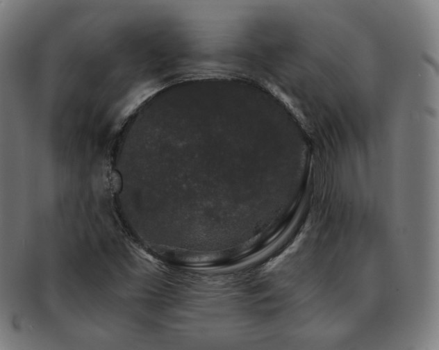 X0000091881453200709051314