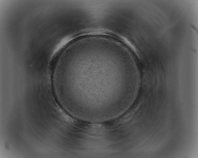 X0000091881456200709051314