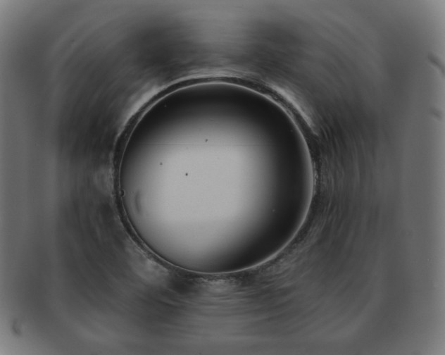 X0000091881460200709051314