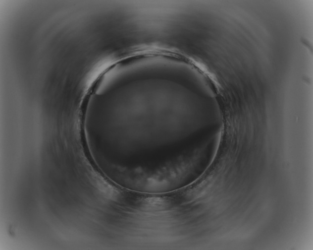 X0000091881463200709051314