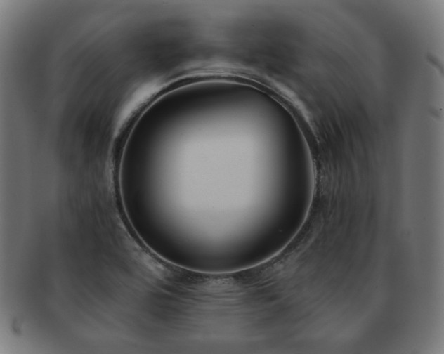 X0000091881464200709051314