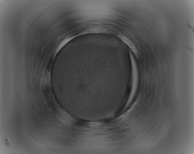 X0000091881465200709051314