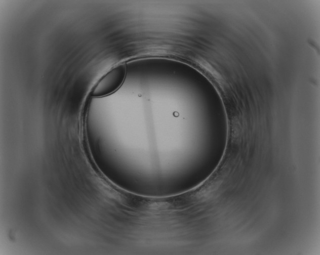 X0000091881467200709051314