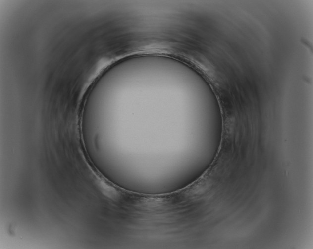 X0000091881470200709051314
