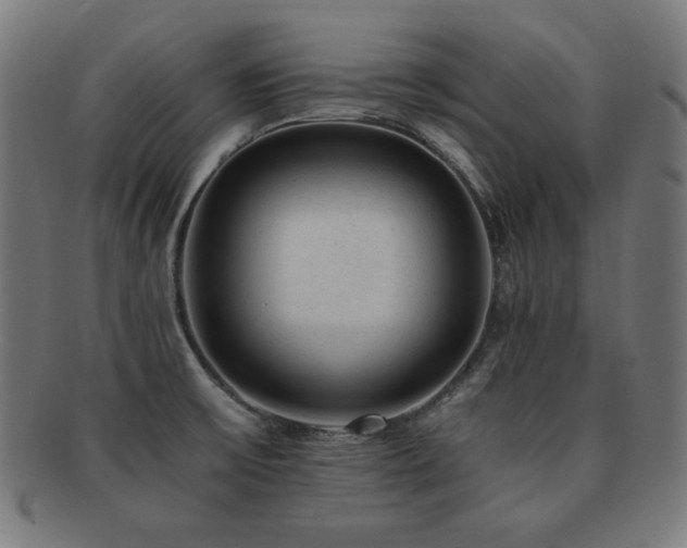 X0000091881475200709051314