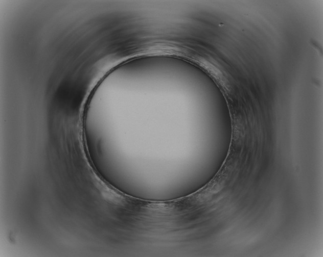 X0000091881478200709051314
