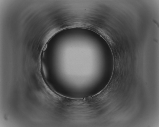 X0000091881479200709051314