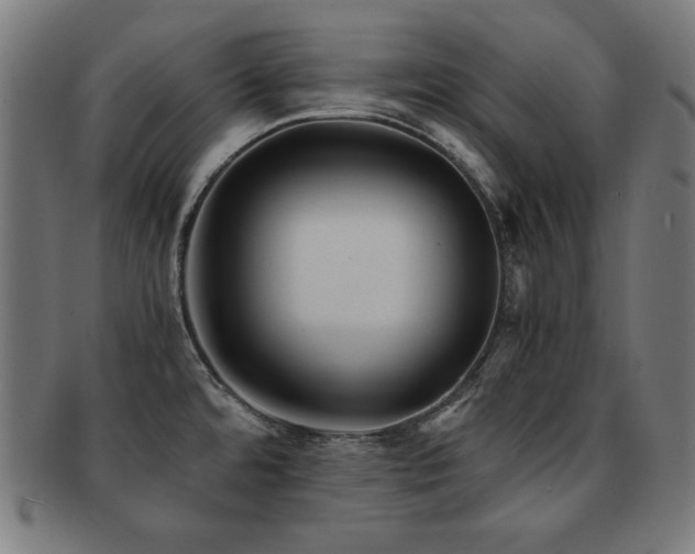 X0000091881480200709051314