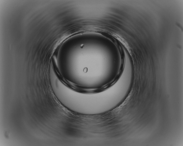 X0000091881481200709051314