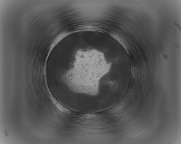 X0000091881482200709051314