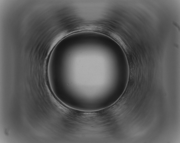 X0000091881483200709051314