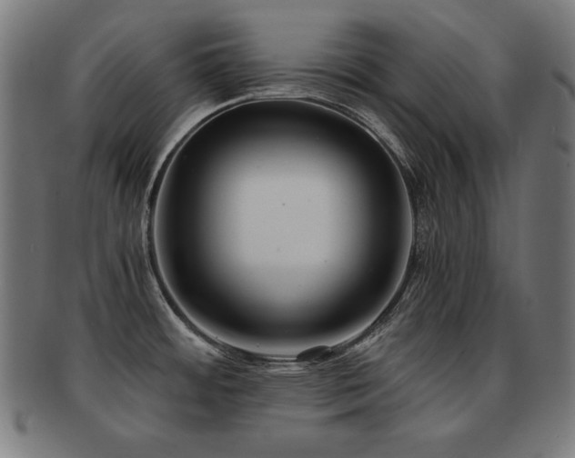 X0000091881484200709051314