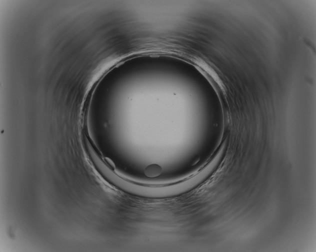 X0000091881485200709051314