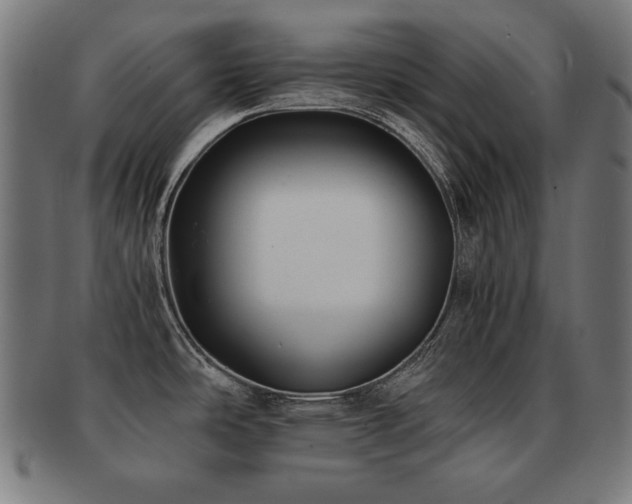 X0000091881486200709051314