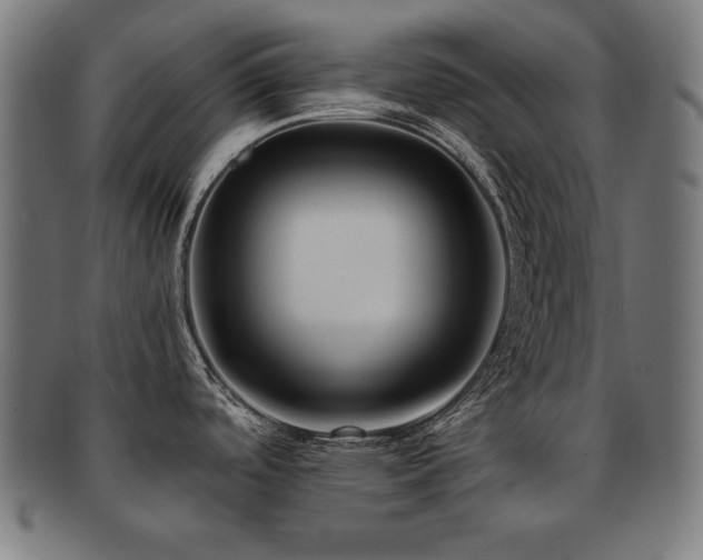 X0000091881488200709051314