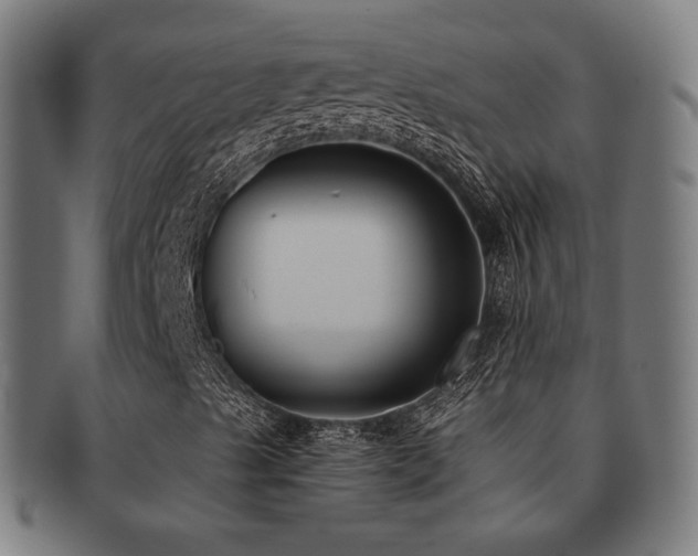 X0000091881489200709051313