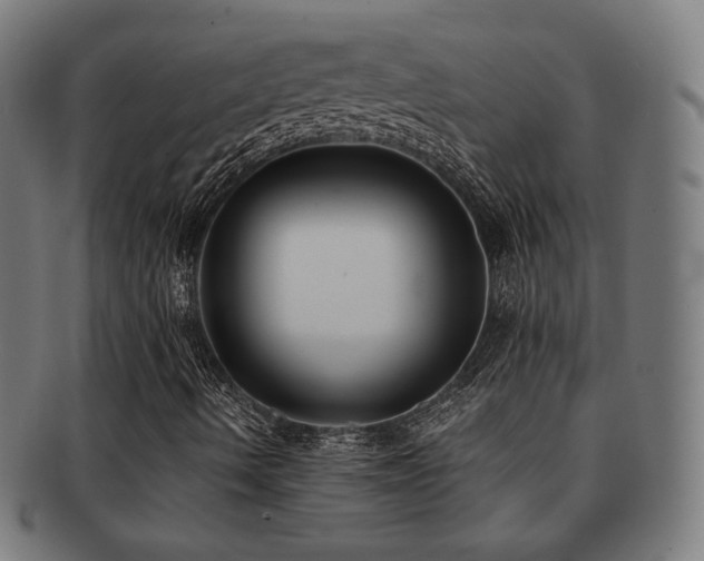 X0000091881490200709051313