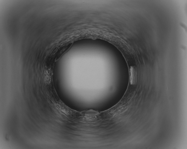 X0000091881491200709051313