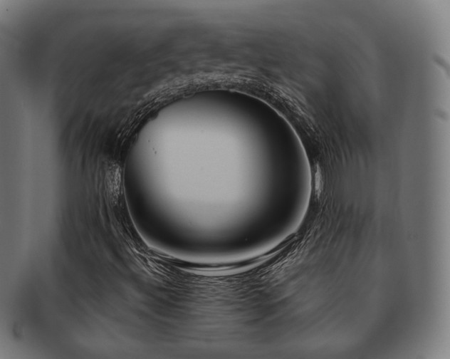 X0000091881492200709051313