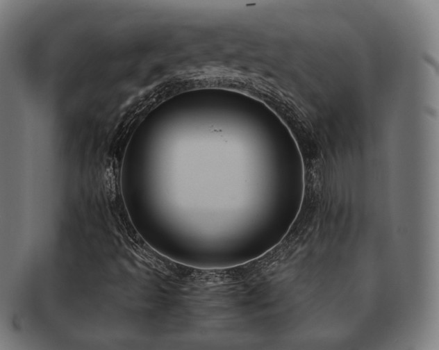 X0000091881493200709051313