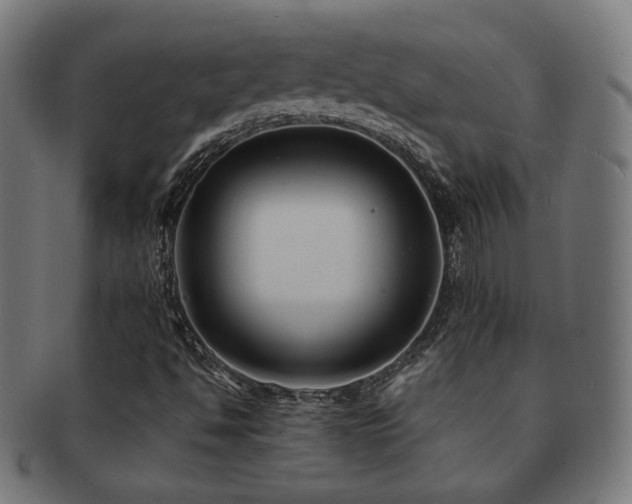 X0000091881494200709051313