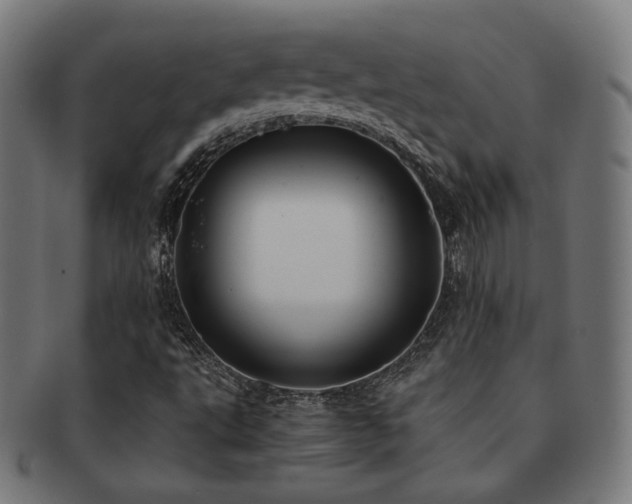 X0000091881495200709051313