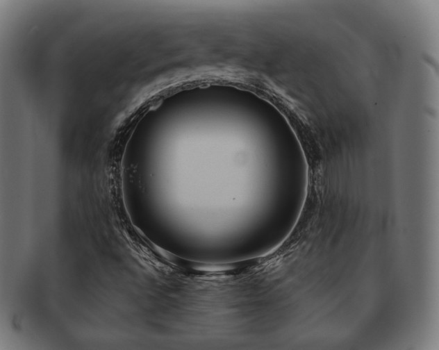 X0000091881496200709051314