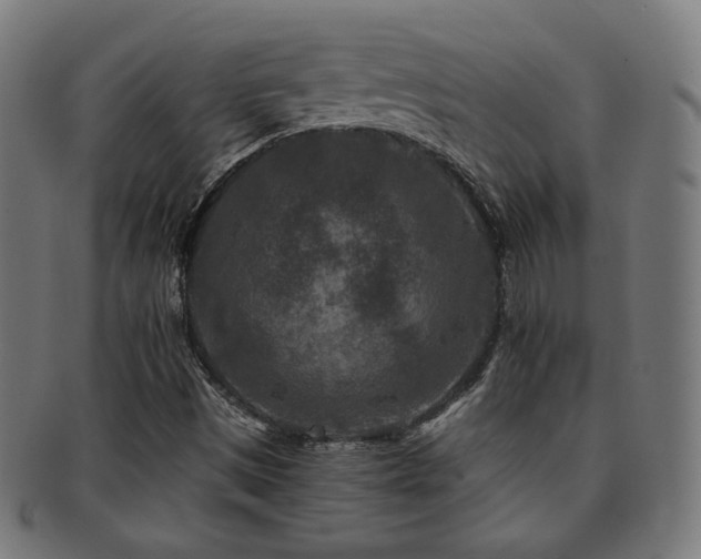 X0000091881497200709051314