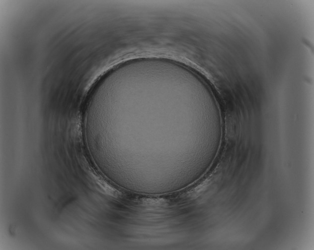 X0000091881498200709051314